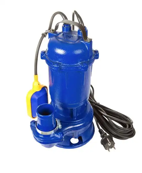 Transparent photo of a blue sump pump